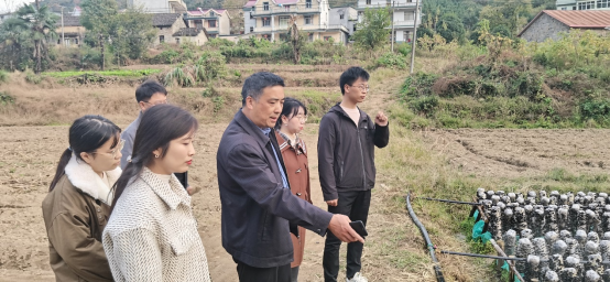 免费a级毛片免费看
