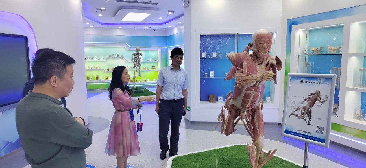 免费a级毛片免费看