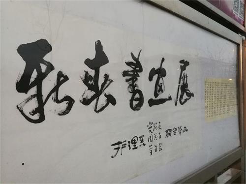 免费a级毛片免费看