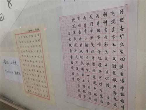 免费a级毛片免费看